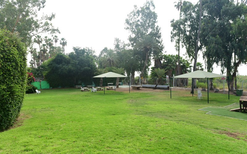 Kinneret Hostel - Yard