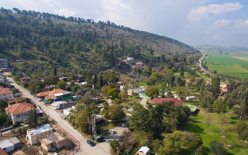 אנ"א עין חרוד - מבט על