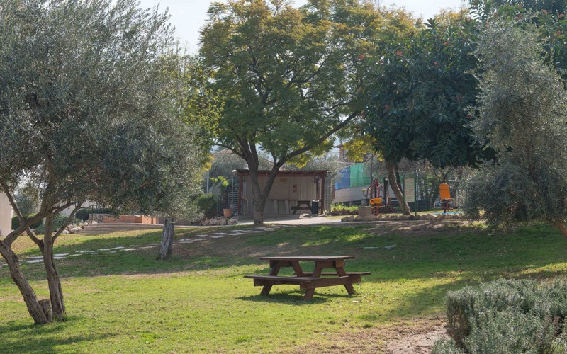אנ"א עין חרוד - שטח פתוח